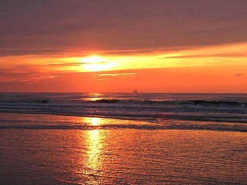 Amsterdam Beach Apartment 잔드보르트 외부 사진