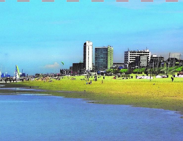 Amsterdam Beach Apartment 잔드보르트 외부 사진